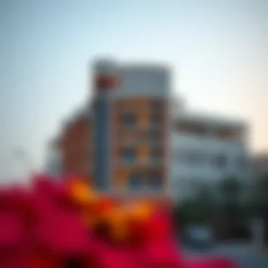 Magnificent Affordable Hotels in Dubai: A Comprehensive Guide Magnificent Affordable Hotels in Dubai: A Comprehensive Guide