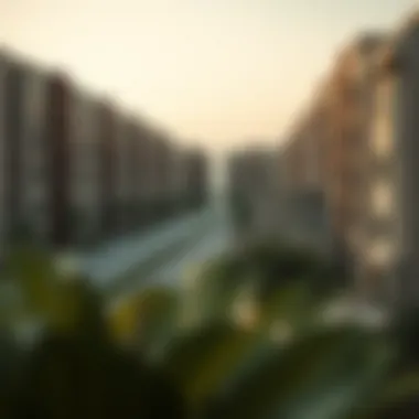 Magnificent Affordable Residential Communities in Dubai
