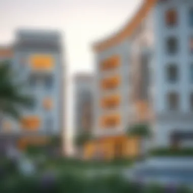 Magnificent Assessing the Dynamics of LIV Properties in the Dubai Real Estate Market Magnificent Assessing the Dynamics of LIV Properties in the Dubai Real Estate Market