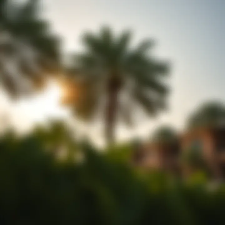 Magnificent Exploring the Intersection of Trees and Residences in Dubai's Real Estate Landscape