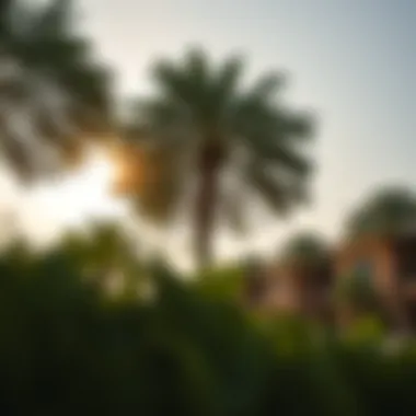 Magnificent Exploring the Intersection of Trees and Residences in Dubai's Real Estate Landscape Magnificent Exploring the Intersection of Trees and Residences in Dubai's Real Estate Landscape