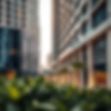 Magnificent Understanding Dewa Connection Transfer in Dubai Real Estate