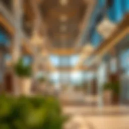 A Comprehensive Guide to Purchasing Prime Products in Dubai Introduction