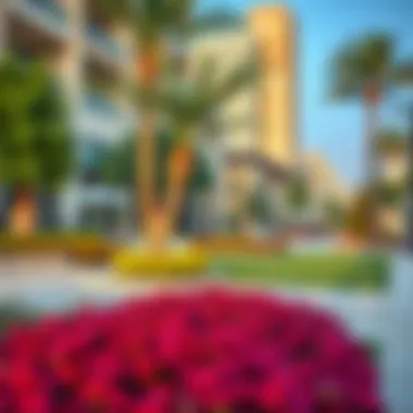 Stunning Landscaping in Carrefour Town Square Beautiful landscaping and community spaces in Carrefour Town Square