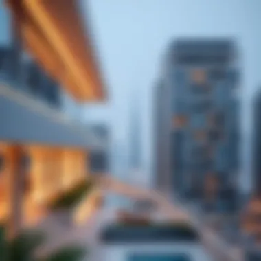 Comprehensive Overview of Dubai Facilitation Office Summary Comprehensive Overview of Dubai Facilitation Office Summary