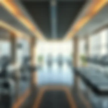 Luxurious Amenities of DIB Onyx Tower Luxurious amenities offered within DIB Onyx Tower including fitness and leisure facilities