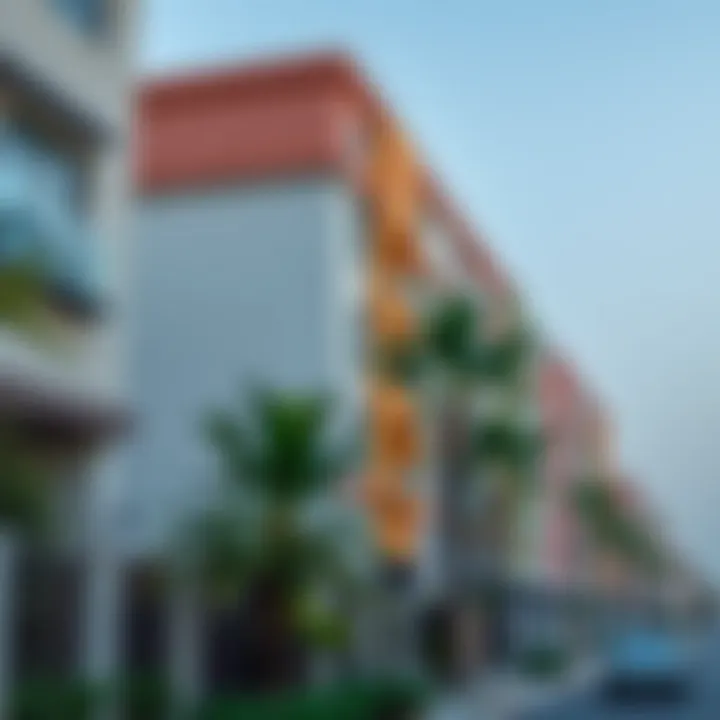 Budget-Friendly Neighborhoods Vibrant neighborhood showcasing budget-friendly apartments