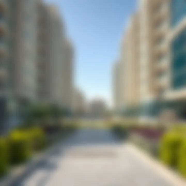 Community Amenities Overview Community amenities in Al Zahia Uptown