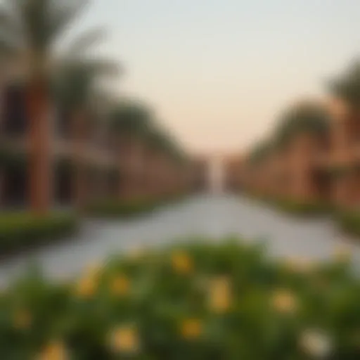 Exploring Barari Park: A Multifaceted Oasis in Dubai Introduction