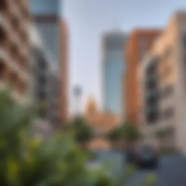 Exploring BLS Bur Dubai: A Comprehensive Overview Summary