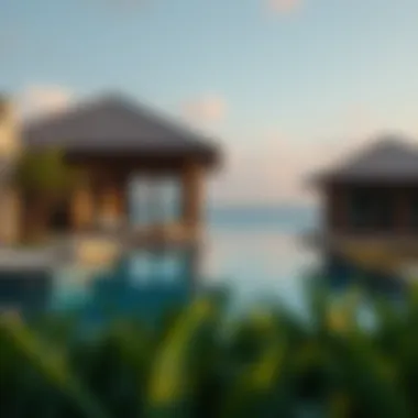 Exploring Bluewaters Island: A Visual Journey Summary Exploring Bluewaters Island: A Visual Journey Summary