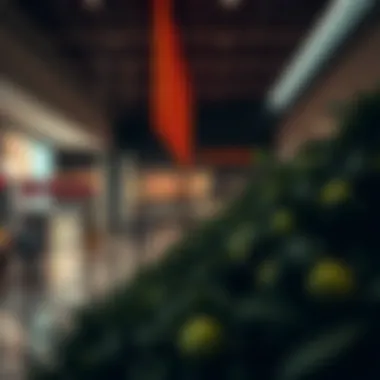 Strategic Positioning of Carrefour Strategic layout highlighting Carrefour's positioning