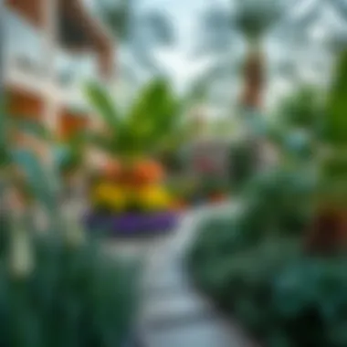 Biodiversity and Sustainability in Urban Landscapes Ecological diversity in a Dubai garden