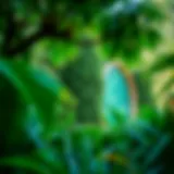 Lush greenery in Dubai's botanical garden