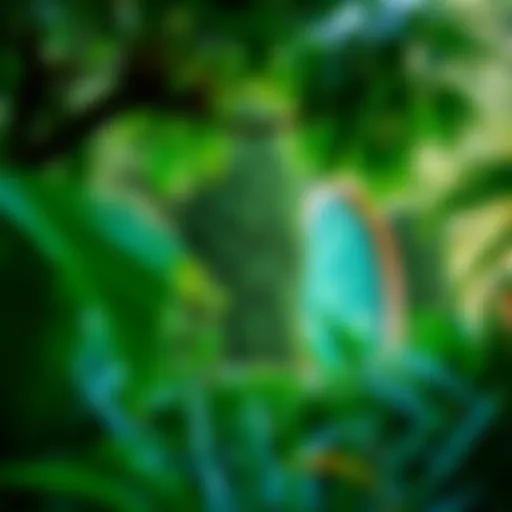 Lush greenery in Dubai's botanical garden