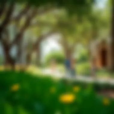 Creating Moments: Visitor Experiences in Green Spaces Visitors enjoying a peaceful stroll in a garden