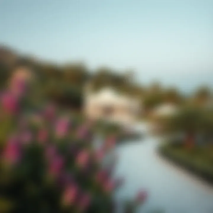 Lush Landscaping Surrounding فندق جميرا A scenic view of the hotel surrounded by lush landscaping