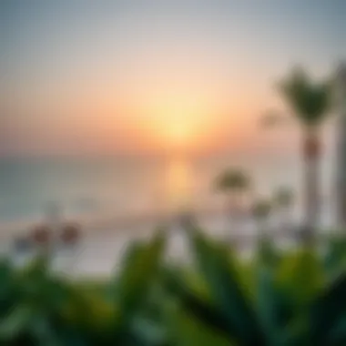 Notable Exploring La Mer Beach in Dubai: A Comprehensive Overview Notable Exploring La Mer Beach in Dubai: A Comprehensive Overview