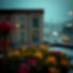 Exploring Monthly Room Rentals in Deira, Dubai Introduction