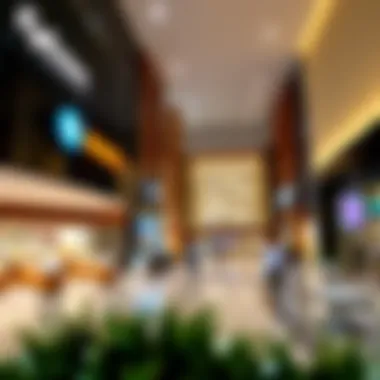 Exploring Pan Emirates: A Comprehensive Guide to Online Shopping in Dubai Summary Exploring Pan Emirates: A Comprehensive Guide to Online Shopping in Dubai Summary