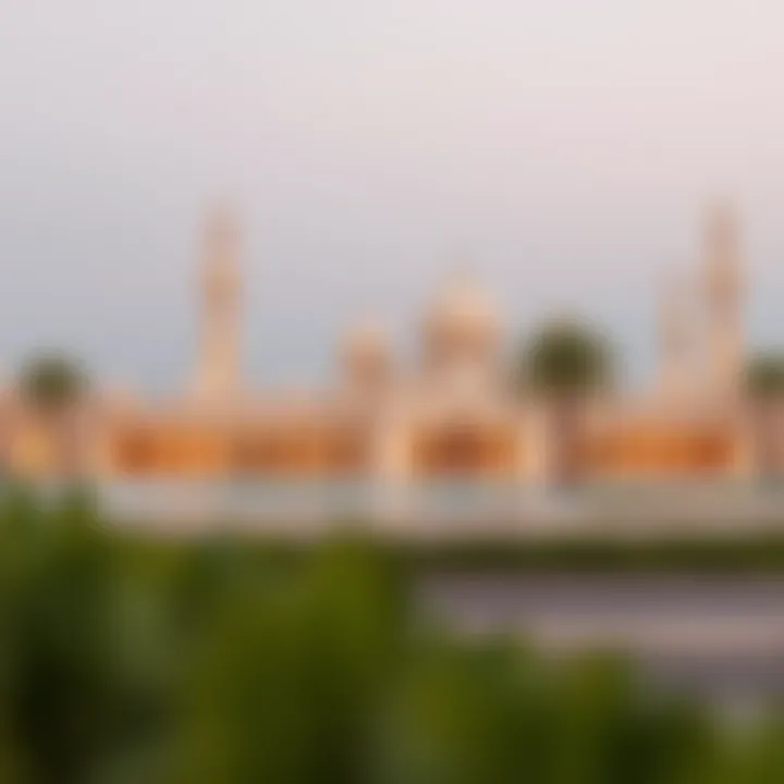 Exploring the 2023 Holiday Landscape in the UAE Summary