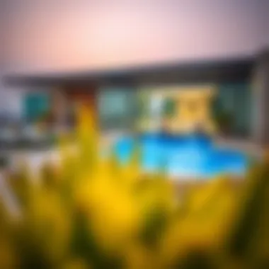 Exploring the Dimensions of Luxury Living in Dubai Summary Exploring the Dimensions of Luxury Living in Dubai Summary