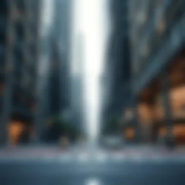 Exploring the Dynamics of the City Market: Insights and Trends Summary Exploring the Dynamics of the City Market: Insights and Trends Summary