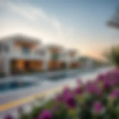 Exploring the Location of Al Furjan Villas Summary Exploring the Location of Al Furjan Villas Summary