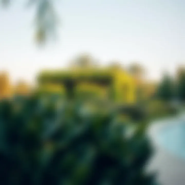 Scenic view of Zabeel Park's lush greenery