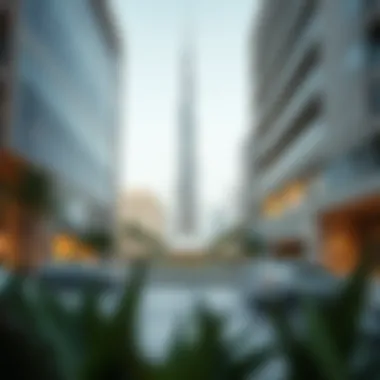 Navigating the Aftermath of Visa Cancellation in the UAE Introduction Navigating the Aftermath of Visa Cancellation in the UAE Introduction