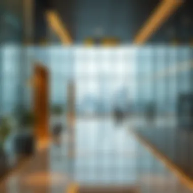 Navigating the Aftermath of Visa Cancellation in the UAE Summary