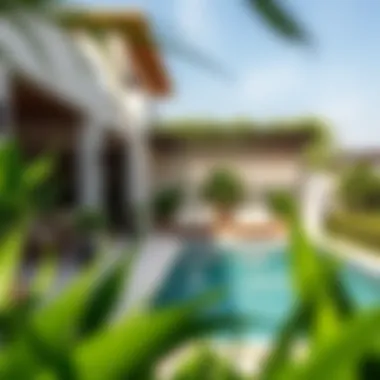 Outdoor space of a rental villa featuring lush greenery and a pool