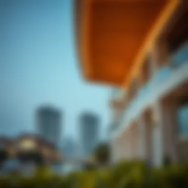 The Role of Chamas in Dubai's Real Estate Market Summary The Role of Chamas in Dubai's Real Estate Market Summary