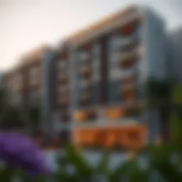 Understanding 1 BHK Apartments in Dubai: A Comprehensive Guide Introduction