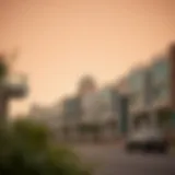 Understanding the Baniyas Community in Northern Dubai Introduction