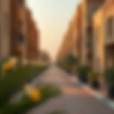 Notable Understanding the Baniyas Community in Northern Dubai