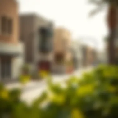 Understanding the Baniyas Community in Northern Dubai Summary