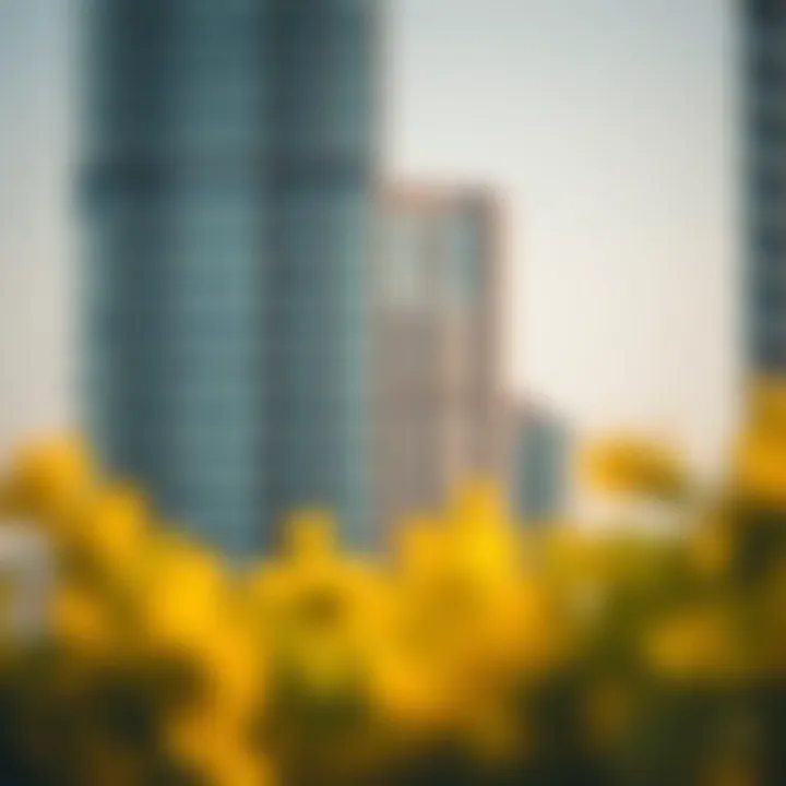 Understanding the Fine for Overstay in the UAE Summary Understanding the Fine for Overstay in the UAE Summary
